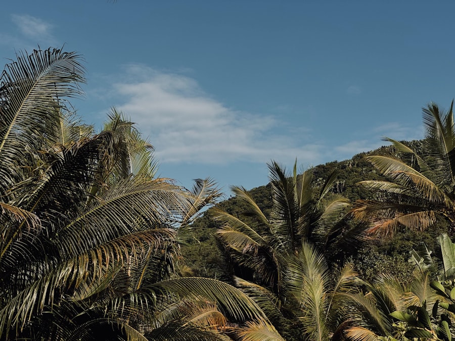 vacation destination