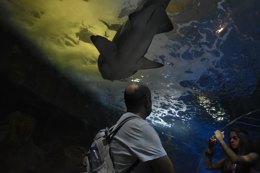 Photo school group tours