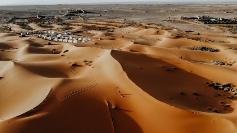 Cum să creezi experiențe turistice pentru cupluri și familii