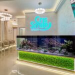 Cris Smile Studio Clinica și Cabinetul Stomatologic din Sectorul 5, București — Ghid complet despre servicii, echipă și filosofia de tratament