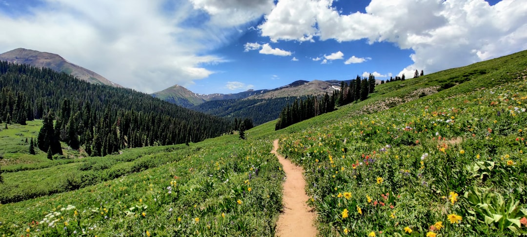 Photo hiking trails for beginners