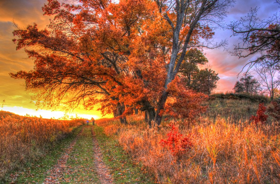 choose the right season