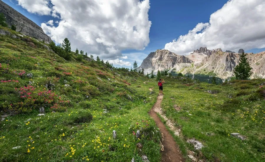 Photo choosing hiking trail guide