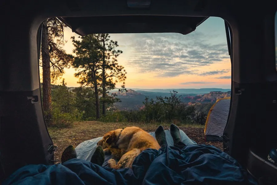 Photo safe camping tips